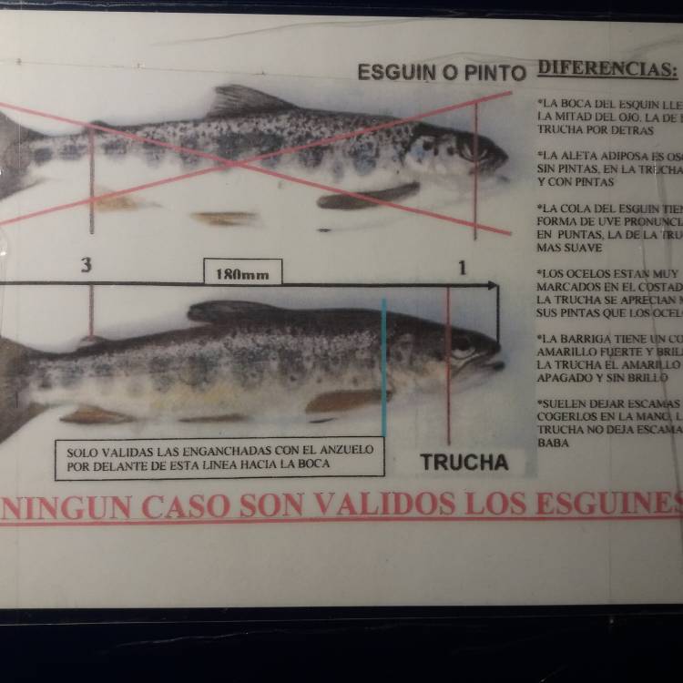 PARTE SALMONERO 19/77    MIERCOLES 26/04/2023