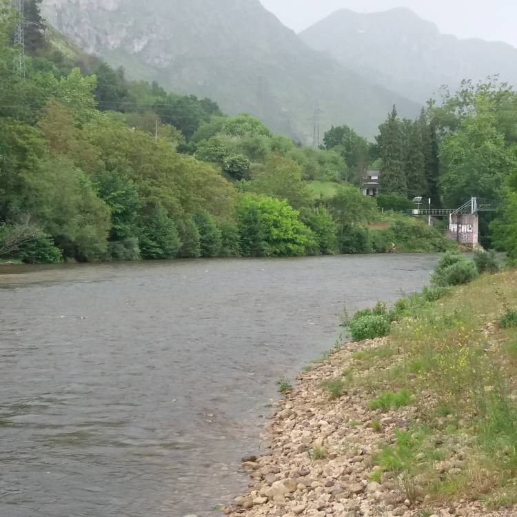 PARTE SALMONERO 49/69     MARTES 17/06/2025