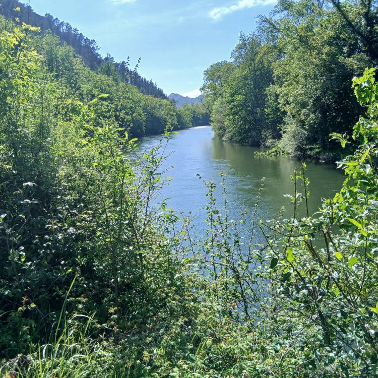 PARTE SALMONERO 50/69     MIÉRCOLES 18/06/2025