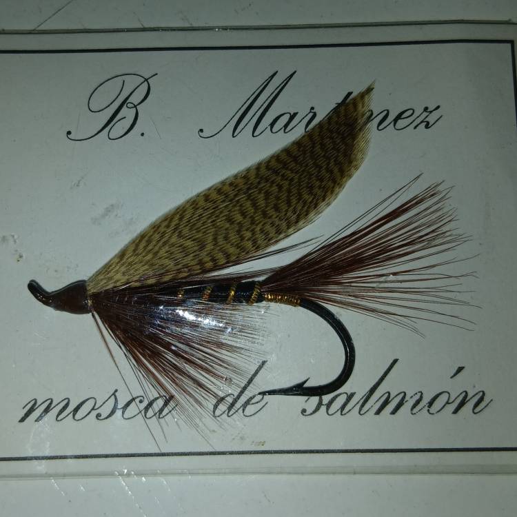 PARTE SALMONERO 51/69      VIERNES 20/06/2025