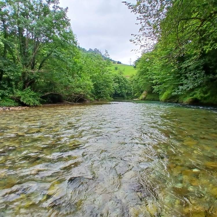 PARTE SALMONERO 52/69     SÁBADO 21/06/2025