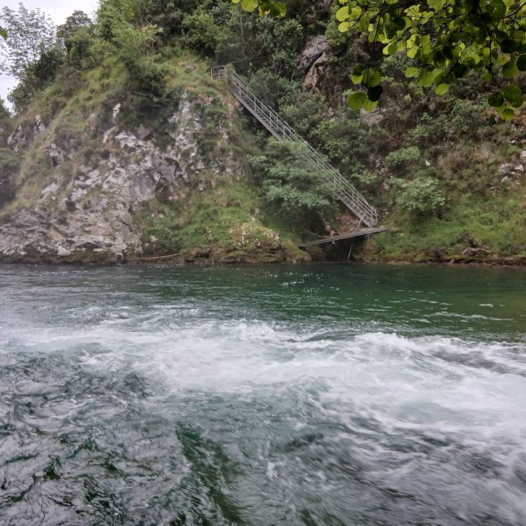 PARTE SALMONERO 53/69    DOMINGO 22/06/2025