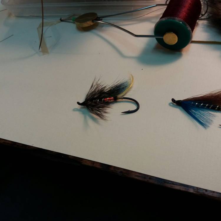 PARTE SALMONERO 54/69    MARTES 24/06/2025