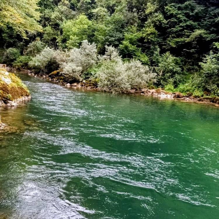 PARTE SALMONERO 55/69    MIÉRCOLES 25/06/2025