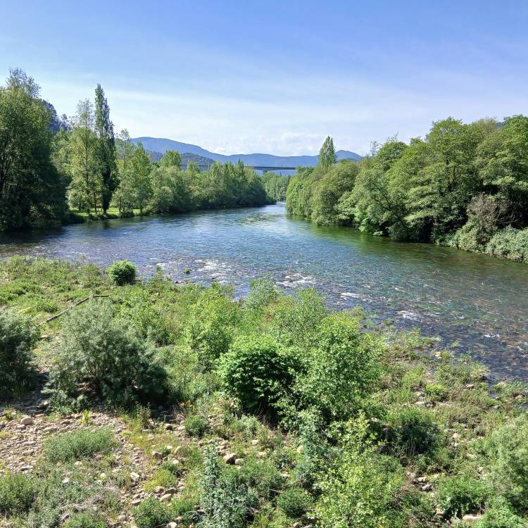 PARTE SALMONERO 56/69    VIERNES 27/06/2025