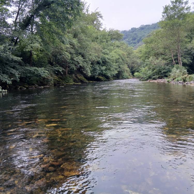 PARTE SALMONERO 57/69     SÁBADO 28-06-2025