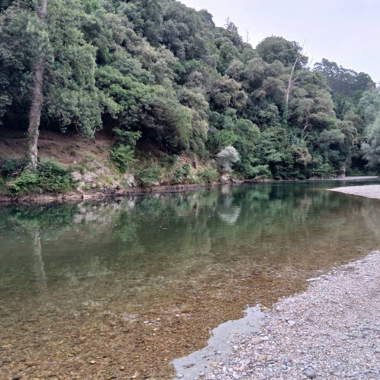 PARTE SALMONERO 59/69     MARTES 01/07/2025