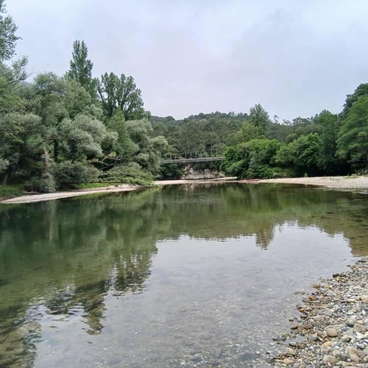 PARTE SALMONERO 60/69     MIÉRCOLES 02/07/2025