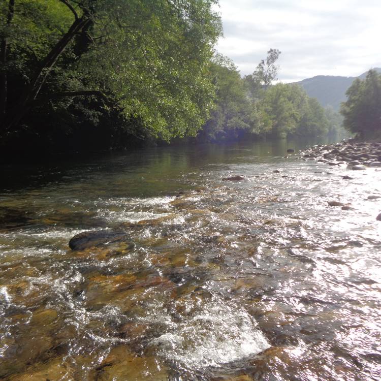 ESTADISTICA COMPARATIVA DE CAPTURAS SALMON A 3 DE JULIO 2025