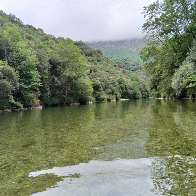 PARTE SALMONERO 62/69     SÁBADO 05/07/2025