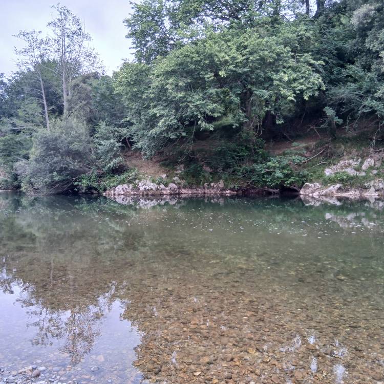 PARTE SALMONERO 64/69     MARTES 08/07/2025