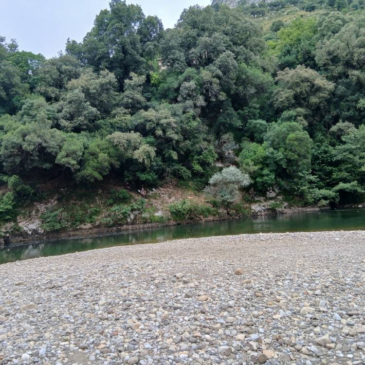 PARTE SALMONERO 67/69    SÁBADO 12/07/2025