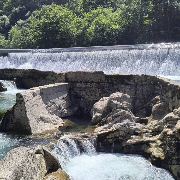 PARTE SALMONERO 69/69     MARTES 15/07/2025