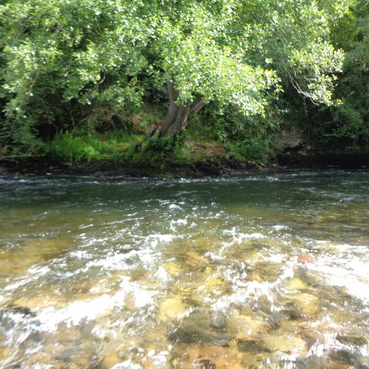 SOLICITUDES DE COTOS DE PESCA PARA LA TEMPORADA 2026 EN ASTURIAS