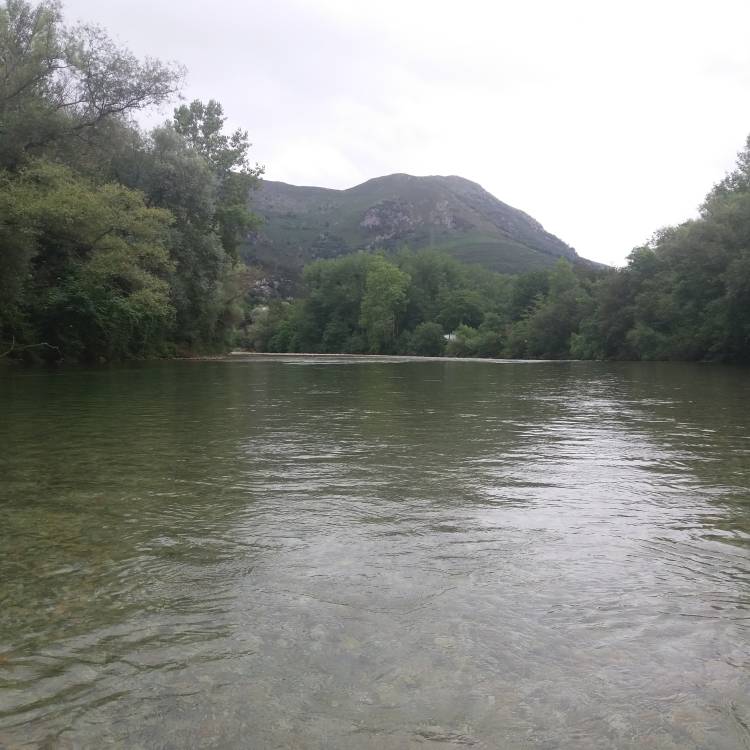 RECTIFICACION DE ERRORES EN NORMAS DE PESCA 2026