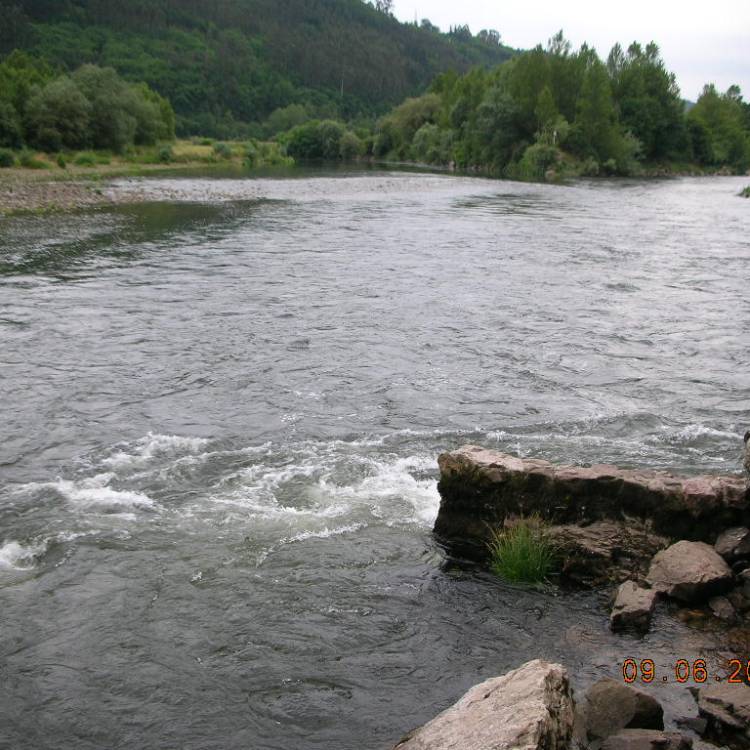 PARTE SALMONERO 22 DE ABRIL DE 2026