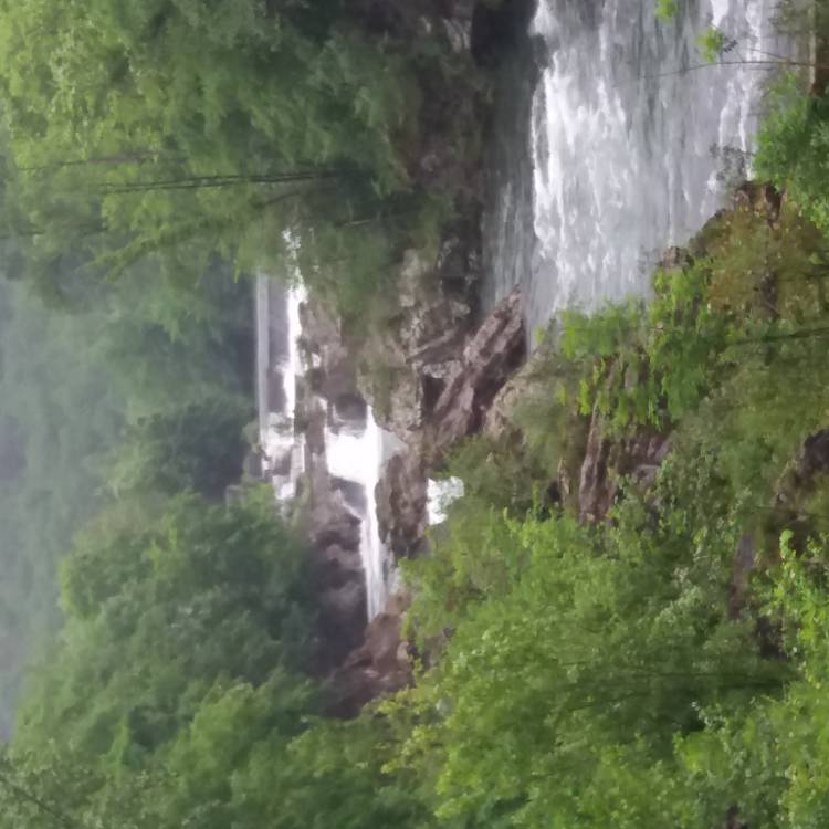 PARTE SALMONERO 22 DE ABRIL DE 2026