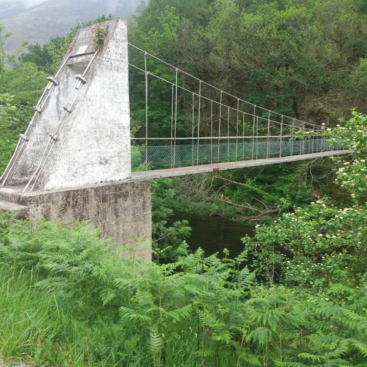 PARTE SALMONERO 25 ABRIL 2026