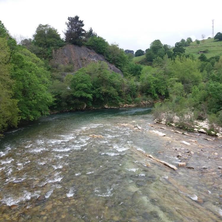 RESULTADO DEL SORTEO DE COTOS DE PESCA REO 2026