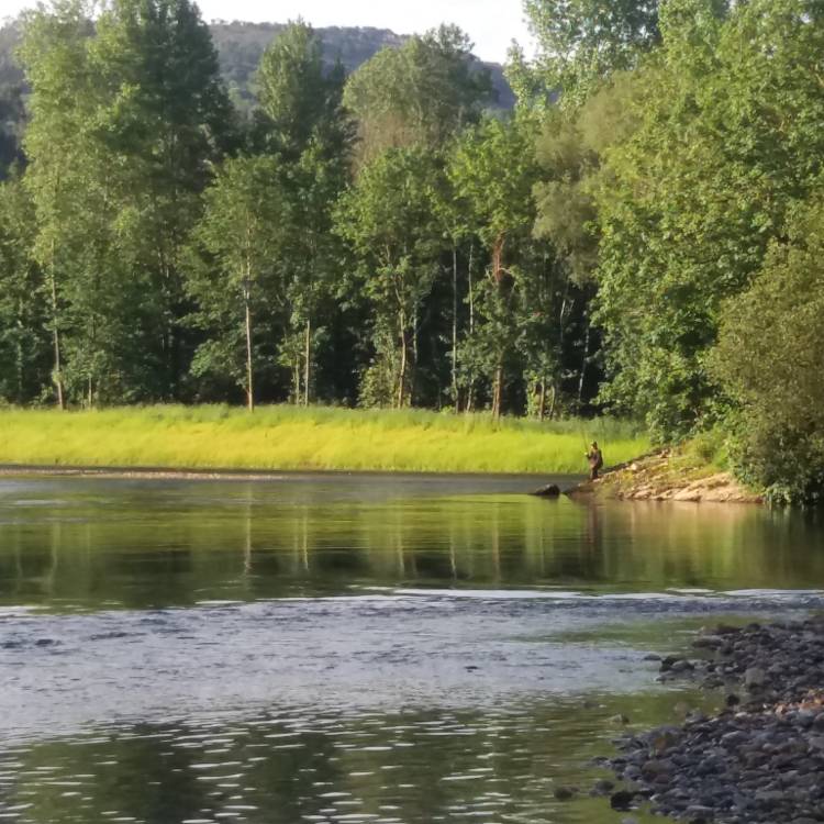 NUEVA LIMPIEZA DE RÍO EN MIERES