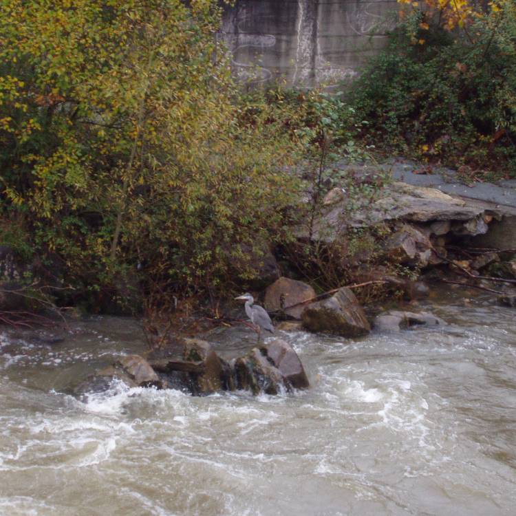 NORMAS PESCA EN ASTURIAS 2027